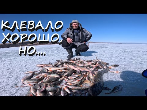 Видео: РЫБАЛКА В АПРЕЛЕ НА КВХ | ЛЁД ТАЕТ НА ГЛАЗАХ