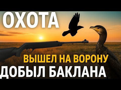 Видео: Охота с МР-512 | Вышел на ворону — добыл баклана! Неожиданный трофей на рыбалке.
