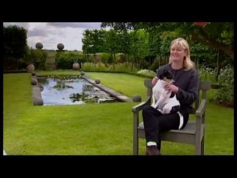 Видео: Сады английских садовников #2