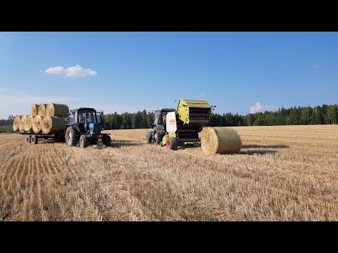 Видео: Заготовка соломы Владимирская обл./ пресс Claas Rollant 46 / трактора МТЗ 82.1 Камаз "Сельхозник"