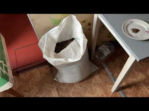 Видео: Переработка очень хорошего Табака 