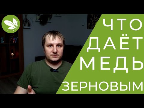 Видео: Зачем МЕДЬ Зерновым? Медь для Пшеницы, Ячменя и Овса.