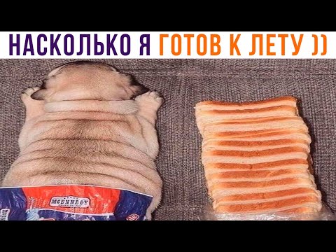 Видео: НАСКОЛЬКО Я ГОТОВ К ЛЕТУ ))) Приколы | Мемозг 1079