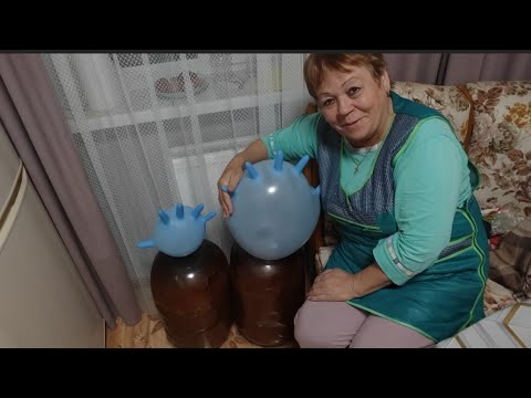 Видео: Перебираю картошку 🥔🥔🥔 // ставлю бражку 🫣//