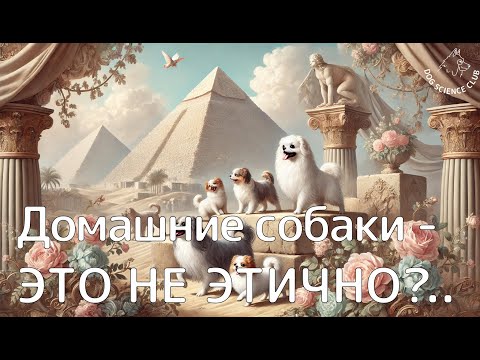 Видео: Держать собаку дома - не этично? Открытая встреча Dog Science Club