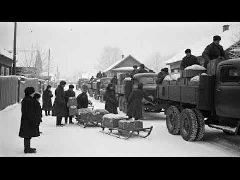 Видео: Вермахт не ожидал, что советские линии снабжения протянутся на 600 миль и всё равно будут работать