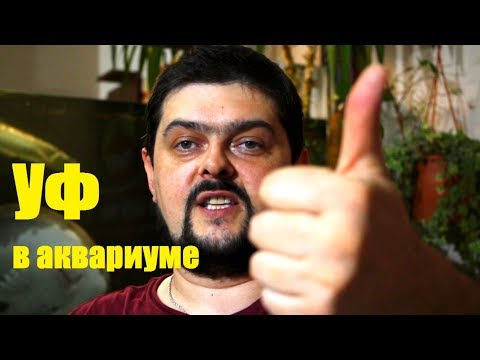Видео: Ультрафиолетовый стерилизатор в аквариуме