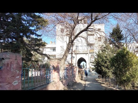 Видео: Сумгайыт 20-й квартал / бывш.магазин Дежурный /  а у нас уже весна 😊появились цветы Нарциссы💐