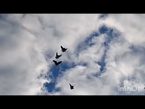 Видео: Сднем мужика