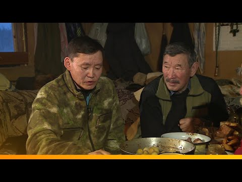 Видео: «Үүтээн кэпсээнэ» биэрии (17.01.21)