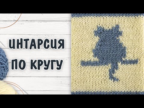 Видео: Интарсия спицами по кругу 🐱 Сложные элементы. Подробный МК