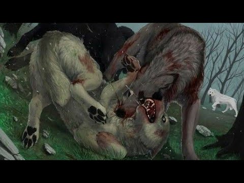 Видео: Хранители волков.Глава 15.Часть #2.