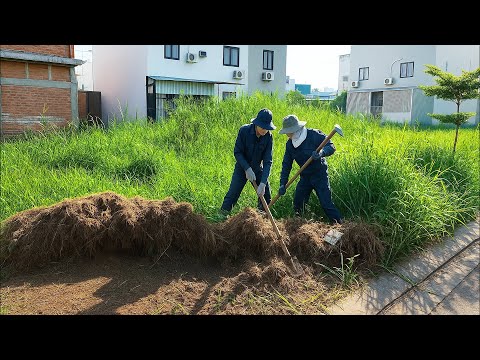 Видео: - От диких сорняков к пешеходным дорожкам — смотрите на трансформацию
