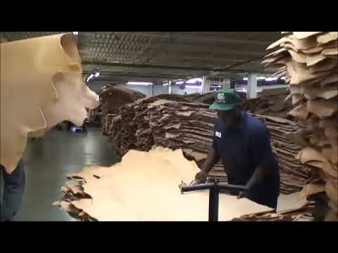 Видео: Производство кожи Herman oak leather USA