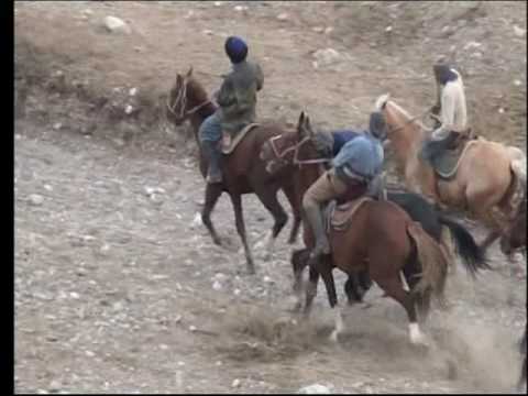 Видео: Лейлек Улак Айбике
