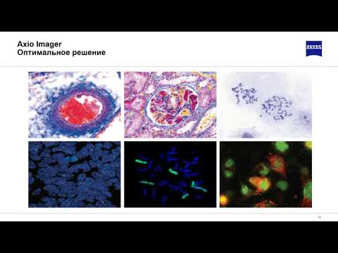 Видео: Оптическая микроскопия Zeiss для биологии и медицины.