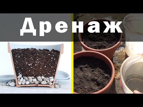 Видео: ДРЕНАЖ ДЛЯ РАСТЕНИЙ: ЗА И ПРОТИВ