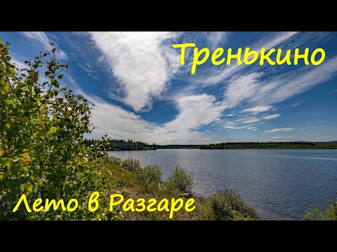 Видео: Тренькино. Лето в разгаре