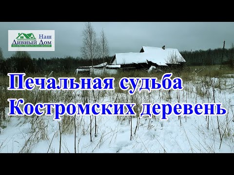 Видео: Печальная судьба Костромских деревень. Деревни в Костроме. Обзор  деревни. Деревни в Костромской обл