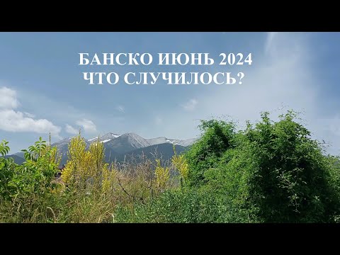 Видео: БАНСКО. ИЮНЬ 2024. СЛУЧИЛАСЬ ЖАРА