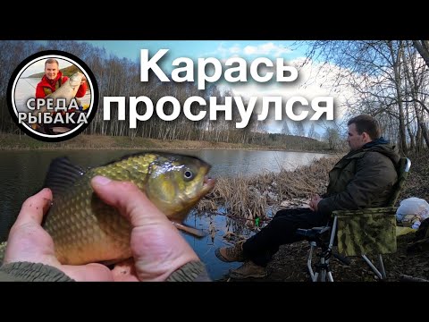 Видео: Ловля КАРАСЯ весной | Рыбалка на поплавок и донки с берега , открытие сезона 2021.