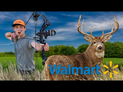 Видео: Охота на оленей с самым дешевым луком и стрелами от Walmart!
