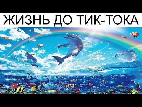 Видео: Дневная подборка мемов 995