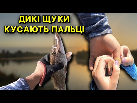 Видео: ДИКІ ЩУКИ КУСАЮТЬ ПАЛЬЦІ! ЩУКА НА BIG BAITS! ПОШУК ЩУКИ З ЕХОЛОТОМ LOWRANCE HDS LIVE 7!ЛОВЛЯ ЩУК!