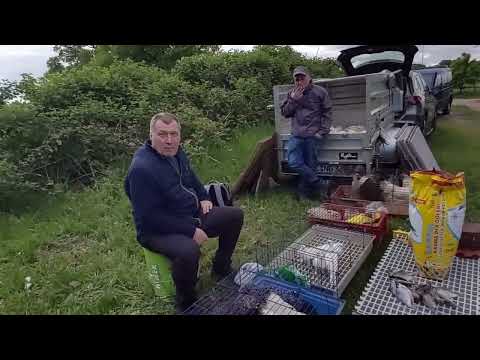 Видео: Птичий рынок.Германия.Город Бремен.04.05.2025г.