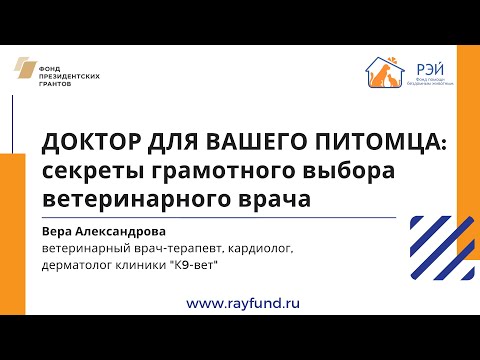 Видео: Доктор для вашего питомца: секреты грамотного выбора ветеринарного врача