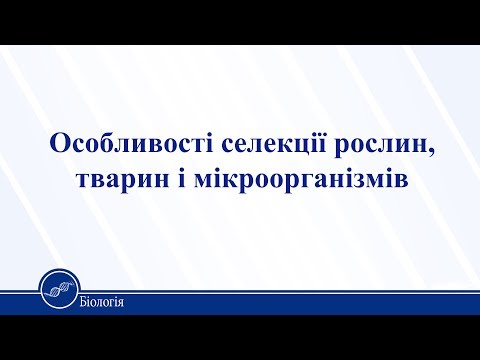 Видео: Особливості селекції рослин, тварин і мікроорганізмів. Біологія 11 клас