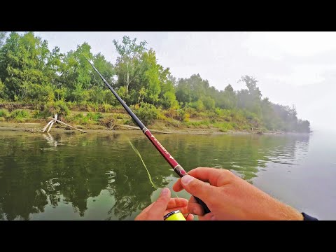 Видео: Рыбалка на СПИННИНГ, ДОСТУПНЫЙ КАЖДОМУ! Осенний жор Щуки и Судака! Новые места