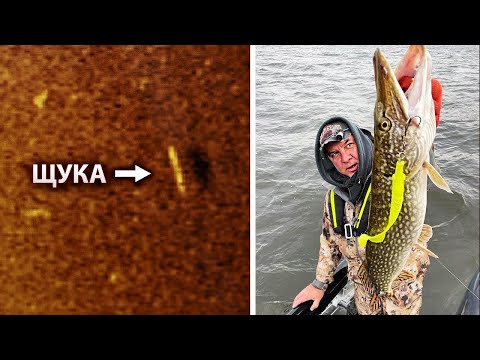 Видео: КАК ПОКАЗЫВАЕТ ЩУКУ ЭХОЛОТ LOWRANCE?!