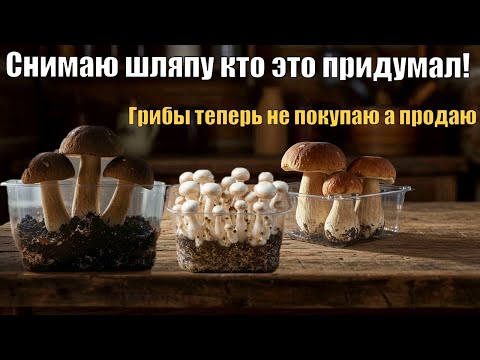 Видео: СДЕЛАЙ ЭТО и грибы вырастут сами! Выращивание грибов дома