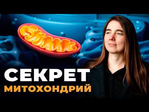 Видео: Почему вы ПРОСЫПАЕТЕСЬ УСТАВШИМИ? Всему виной это митохондрии!