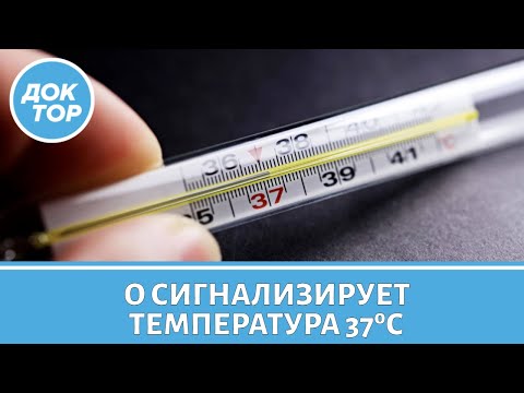 Видео: Когда температура 37 °C может быть сигналом, что у вас онкология