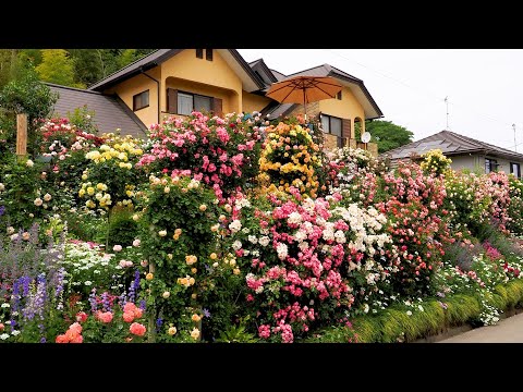 Видео: 【частный дом】Япония. Два типа частных садов, созданных мастером-садоводом #роза