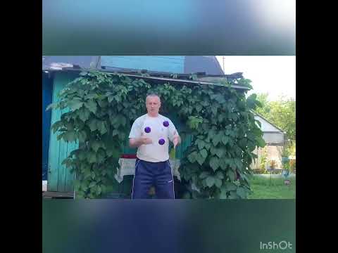 Видео: Жонглирование 3,4,5 мячами