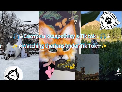 Видео: Смотрим квадробику в Tik tok. Watching therians onder TikTok.