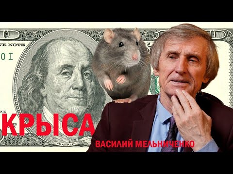 Видео: КРЫСЯТНИЧАТЬ (грабь награбленное) 
