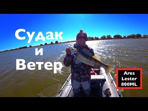 Видео: Судак и Ветер -День Чудесный...!!! Ares Lester Boron 800ML