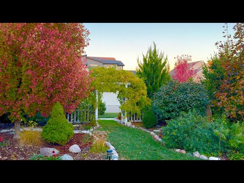 Видео: Великолепная экскурсия по осеннему саду в Holly's!!