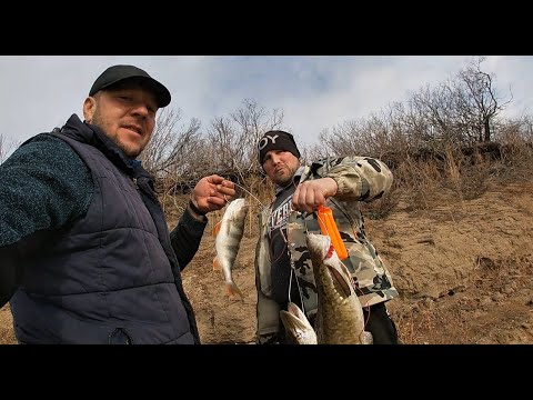 Видео: Нура! Налим! Окунь! Судак! Щука! ЧТО МЫ ТОЛЬКО ТУТ НЕ ПОЙМАЛИ!