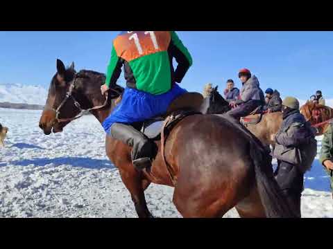 Видео: Суусамыр- Ордо VS Жолуке