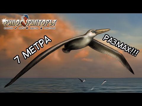 Видео: ТОП 8 ПРАИСТОРИЧЕСКИ птици