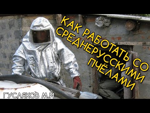 Видео: Как работать со среднерусскими пчёлами. Гусляков М.И.