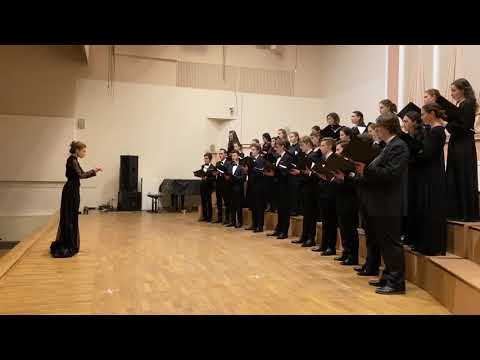 Видео: Ходош В. С. "Зима", дирижирует Мария Левшонкова