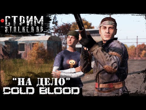 Видео: На Дело | COLD BLOOD STALKER RP | DayZ 1.28 Ft.  @Laro_k ​