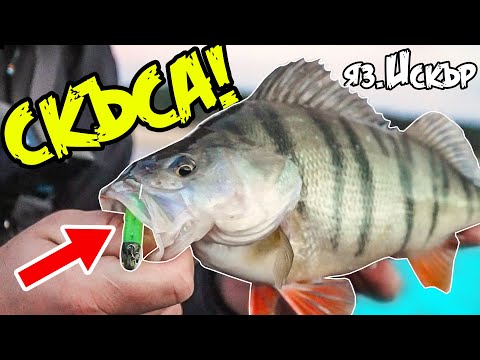 Видео: СКЪСА МИ! ДЖИГ РИБОЛОВ на бяла риба, костур и щука на язовир Искър