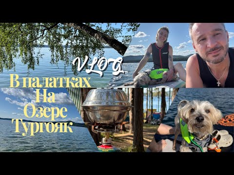 Видео: VLOG//Ночь в палатках//Тургояк//Филя первый раз на сапе//Обзор на кемпинг Лесная поляна//